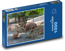 Mladý pštros Puzzle 1000 dielikov - 60 x 46 cm 