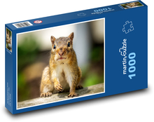Veverička stromová Puzzle 1000 dielikov - 60 x 46 cm 