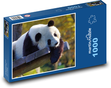Medvedík - Panda veľká Puzzle 1000 dielikov - 60 x 46 cm 