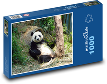 Medvedík - Panda Puzzle 1000 dielikov - 60 x 46 cm 