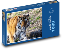 Tiger beim Spazierengehen Puzzle 1000 Teile - 60 x 46 cm