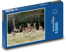 Daněk európsky Puzzle 1000 dielikov - 60 x 46 cm 