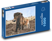 Poník - kôň, exmmor Puzzle 1000 dielikov - 60 x 46 cm
