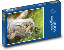 Mačka - motýľ, mačiatko Puzzle 1000 dielikov - 60 x 46 cm 
