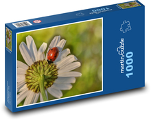 Kopretina - kvetina, lienka Puzzle 1000 dielikov - 60 x 46 cm 
