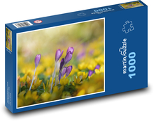 Krokus - Blume, Natur Puzzle 1000 Teile - 60 x 46 cm
