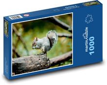 Veverička - zviera, les Puzzle 1000 dielikov - 60 x 46 cm 
