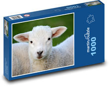 Lamb - animal, farm Puzzle 1000 pieces - 60 x 46 cm 