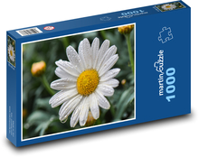 Stokrotka - kwiat, wiosna Puzzle 1000 elementów - 60x46 cm