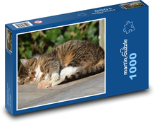 Kot - zwierzę, sen Puzzle 1000 elementów - 60x46 cm
