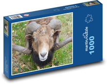 Schaf - Hörner, Tier Puzzle 1000 Teile - 60 x 46 cm
