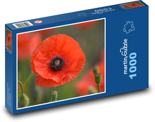 Mák - jaro, červený květ Puzzle 1000 dílků - 60 x 46 cm