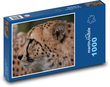 Gepard - šelma, zvíře Puzzle 1000 dílků - 60 x 46 cm