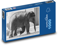 Sloník - mláďa cicavec Puzzle 1000 dielikov - 60 x 46 cm 