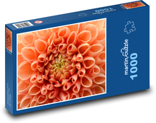 Jiřina - oranžová květina Puzzle 1000 dílků - 60 x 46 cm