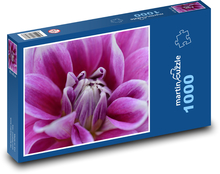 Jiřina - fialová květina Puzzle 1000 dílků - 60 x 46 cm