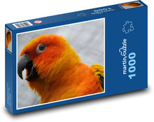Papagáj - oranžový vták Puzzle 1000 dielikov - 60 x 46 cm 