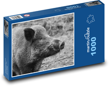 Dzik - świnia Puzzle 1000 elementów - 60x46 cm