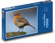 Robin - ptak Puzzle 1000 elementów - 60x46 cm