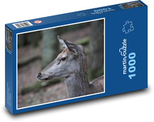 Srnec - les, příroda Puzzle 1000 dílků - 60 x 46 cm