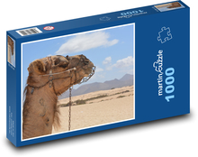 Camel - desert, animal Puzzle 1000 pieces - 60 x 46 cm