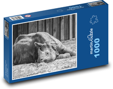 Nosorožec - zvíře, roh Puzzle 1000 dílků - 60 x 46 cm