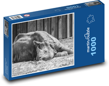 Rhinoceros at the zoo Puzzle 1000 pieces - 60 x 46 cm 