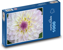 Biele dahlia Puzzle 1000 dielikov - 60 x 46 cm
