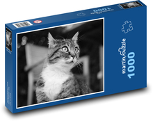 Katze - Tier, Kätzchen Puzzle 1000 Teile - 60 x 46 cm