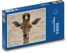 Žirafa - krk, savec Puzzle 1000 dílků - 60 x 46 cm