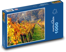 Vinice - jesenné vinice Puzzle 1000 dielikov - 60 x 46 cm