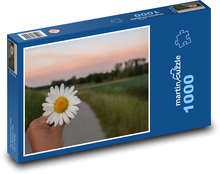 Camomille flowers Puzzle 1000 pieces - 60 x 46 cm 