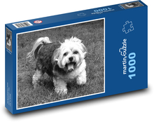 A small dog on the grass Puzzle 1000 pieces - 60 x 46 cm