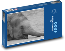 Slon - zvíře, Afrika Puzzle 1000 dílků - 60 x 46 cm
