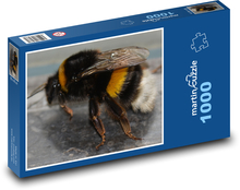 Bumblebee Puzzle 1000 pieces - 60 x 46 cm