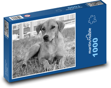 Dog - mammal, animal Puzzle 1000 pieces - 60 x 46 cm