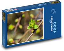 Spring - leaves, nature Puzzle 1000 pieces - 60 x 46 cm 