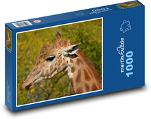 Žirafa - zvíře, savec Puzzle 1000 dílků - 60 x 46 cm