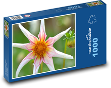 Dalia - kwiat, natura Puzzle 1000 elementów - 60x46 cm