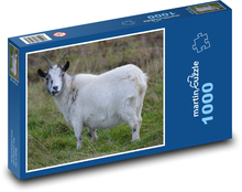 Koza - łąka, zwierzę Puzzle 1000 elementów - 60x46 cm