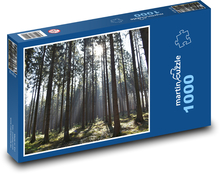 Les - příroda, stromy Puzzle 1000 dílků - 60 x 46 cm