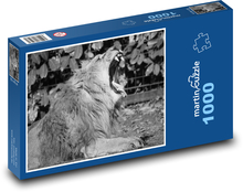 Lev - samec, zviera Puzzle 1000 dielikov - 60 x 46 cm 