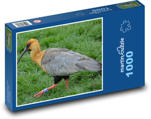 Vták - zobák, zviera Puzzle 1000 dielikov - 60 x 46 cm