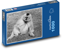 Gibon - opice, savec Puzzle 1000 dílků - 60 x 46 cm