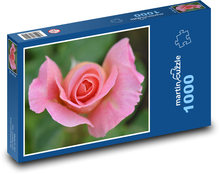 Růže - květ, růžová Puzzle 1000 dílků - 60 x 46 cm