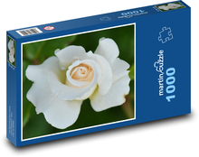 Růže - květ, bílá Puzzle 1000 dílků - 60 x 46 cm