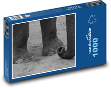 Elephant - animal, mammal Puzzle 1000 pieces - 60 x 46 cm