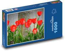 Tulips - nature, flowers Puzzle 1000 pieces - 60 x 46 cm