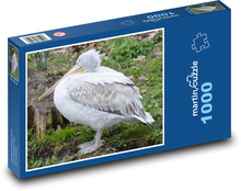 Pelikán - vodný vták Puzzle 1000 dielikov - 60 x 46 cm 