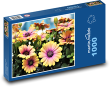 Gänseblümchen - afrikanische Blumen Puzzle 1000 Teile - 60 x 46 cm
